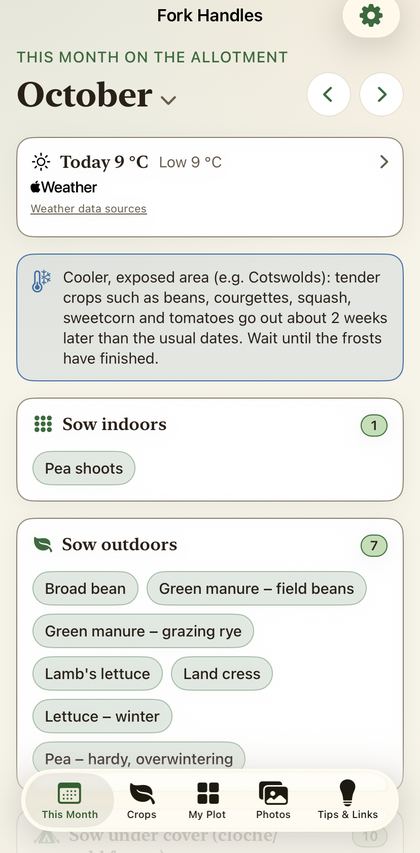 Fork Handles: this month on the allotment